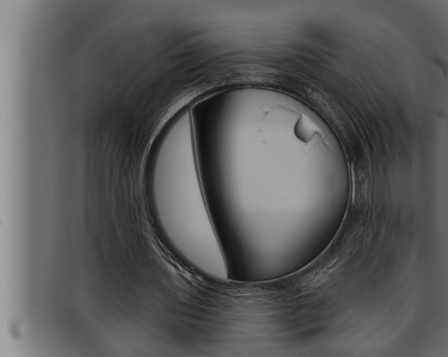 X0000093470435200710121014