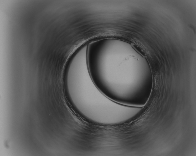 X0000093470436200710121014