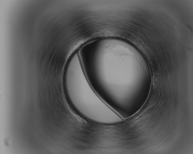X0000093470438200710121014
