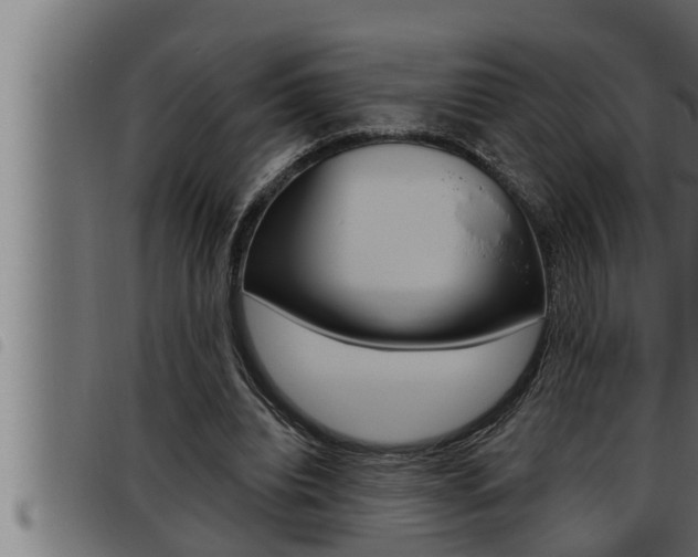 X0000093470440200710121014