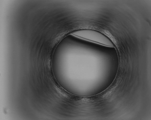 X0000093470441200710121014