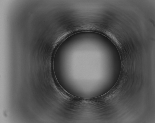 X0000093470442200710121014