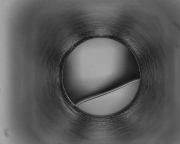 X0000093470443200710121014