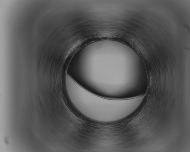 X0000093470444200710121014