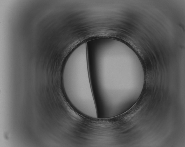 X0000093470445200710121014