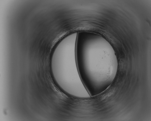 X0000093470446200710121014
