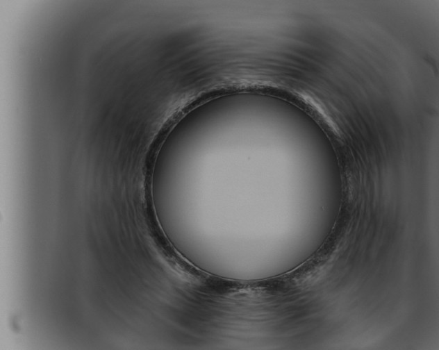 X0000093470447200710121014