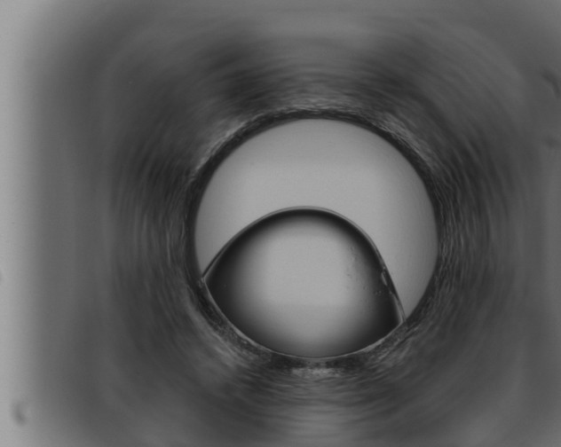 X0000093470448200710121014