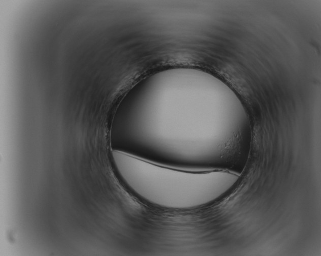 X0000093470449200710121014