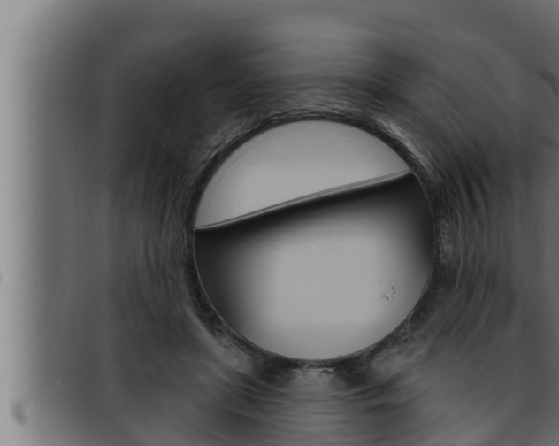 X0000093470451200710121014