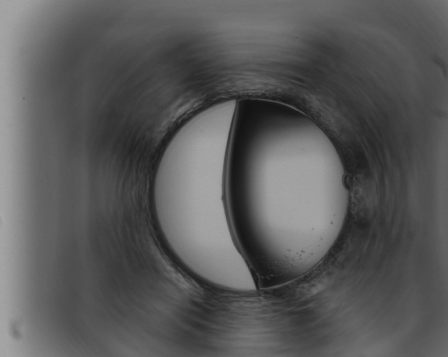 X0000093470454200710121014