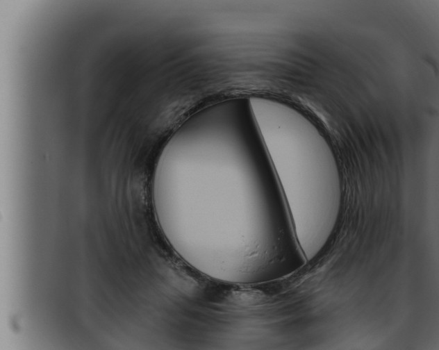 X0000093470455200710121014