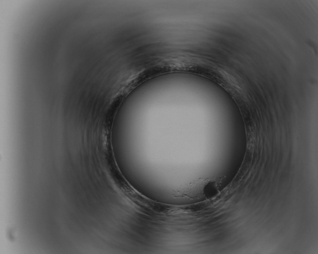 X0000093470456200710121014