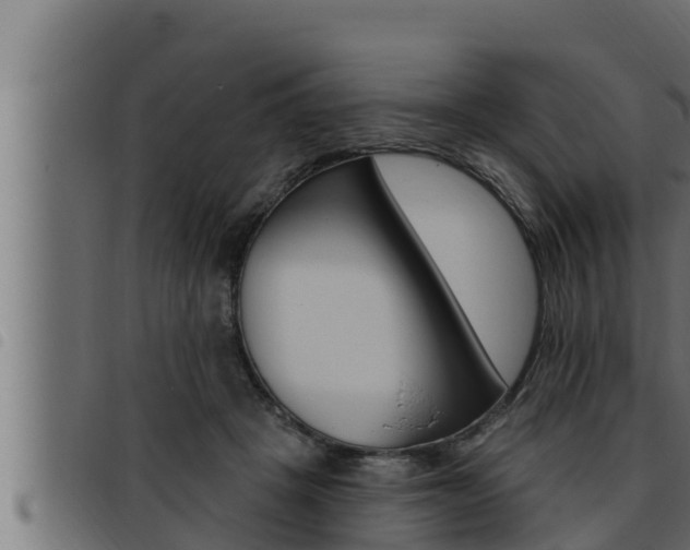 X0000093470457200710121014