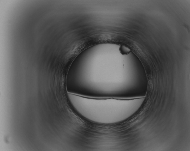 X0000093470458200710121014