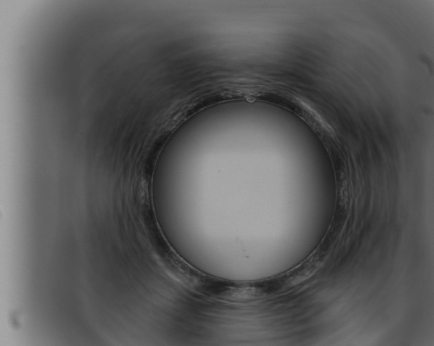 X0000093470459200710121014