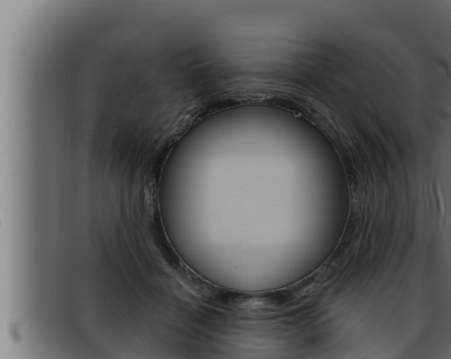 X0000093470460200710121014