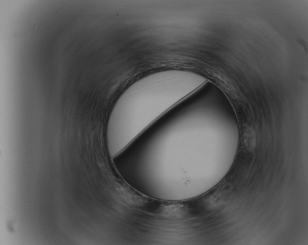 X0000093470461200710121014