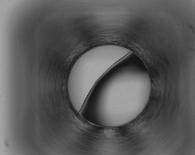 X0000093470462200710121014
