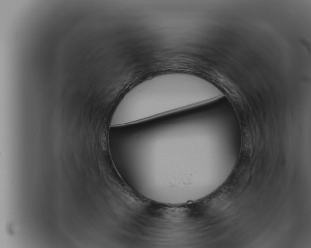 X0000093470465200710121014