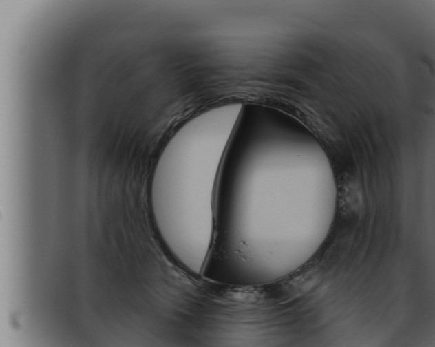 X0000093470466200710121014