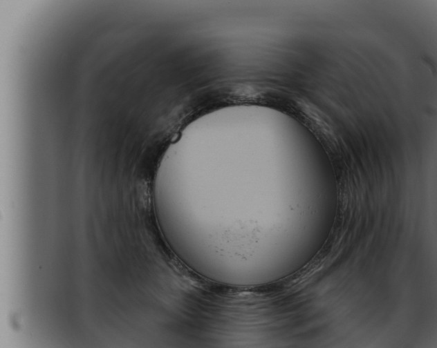 X0000093470467200710121014