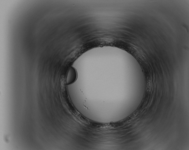 X0000093470468200710121014