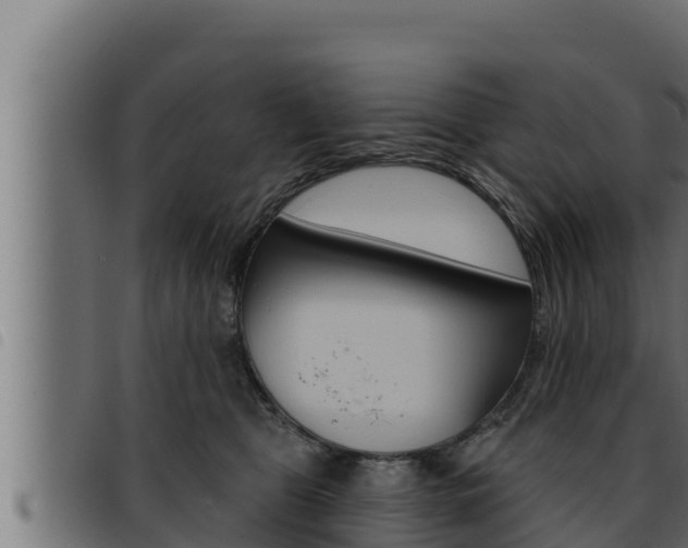 X0000093470469200710121014