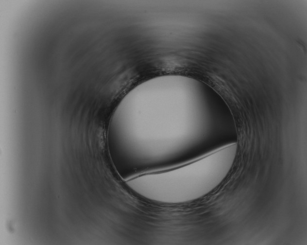 X0000093470470200710121014