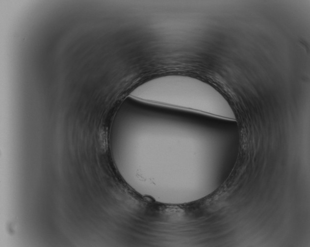 X0000093470471200710121014