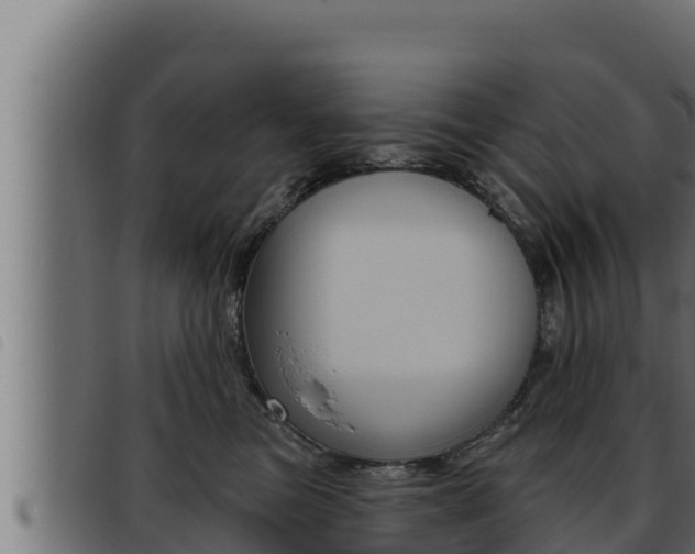 X0000093470473200710121014