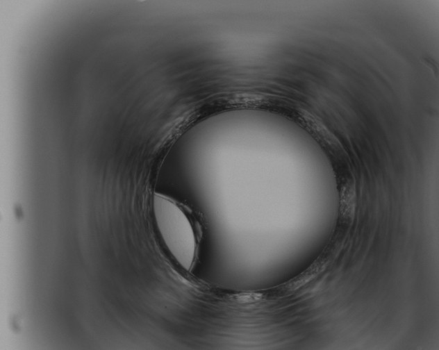 X0000093470474200710121014