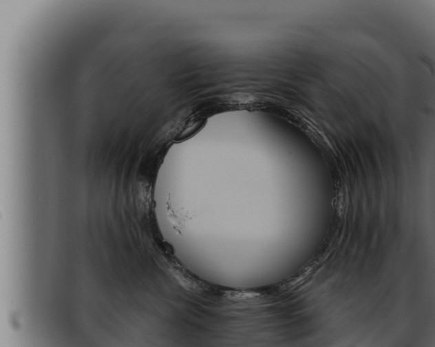 X0000093470476200710121014