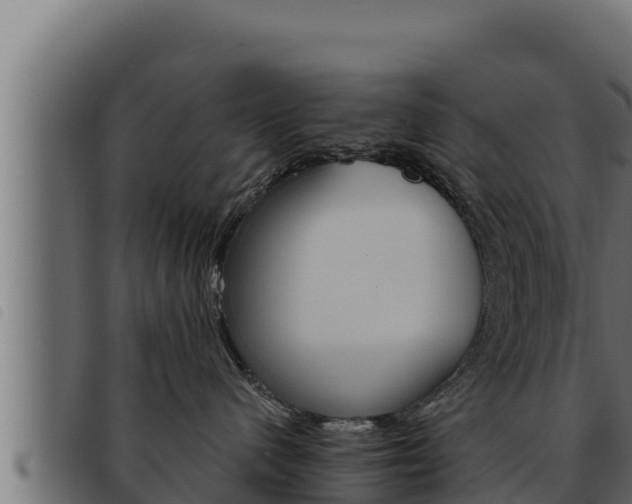 X0000093470480200710121014