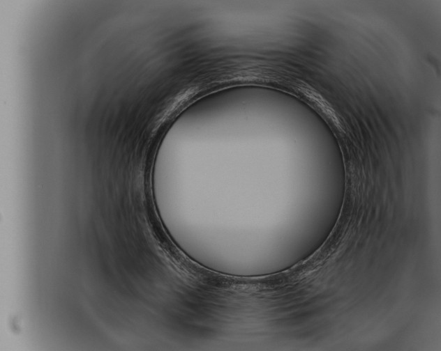 X0000093470482200710121014