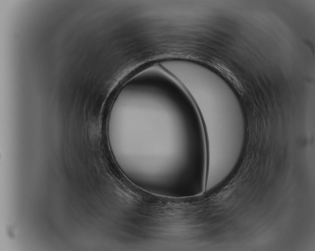 X0000093470484200710121014