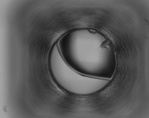 X0000093470485200710121014