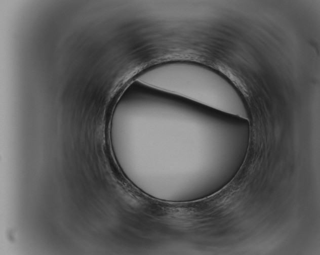 X0000093470486200710121014