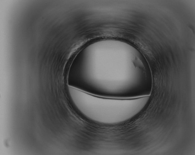 X0000093470488200710121014