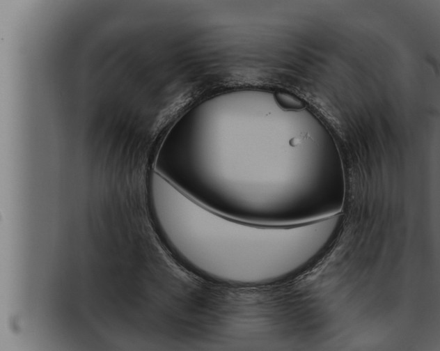 X0000093470489200710121014