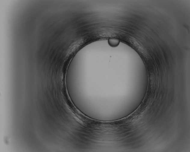 X0000093470490200710121014