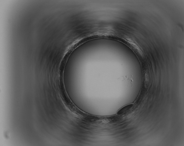 X0000093470492200710121014