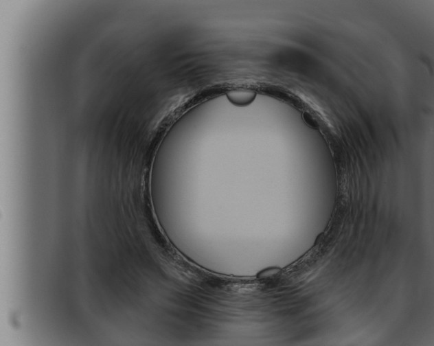 X0000093470495200710121014