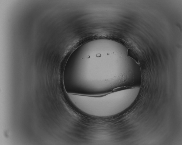 X0000093470496200710121014
