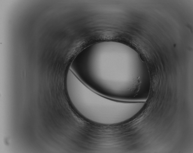 X0000093470497200710121014