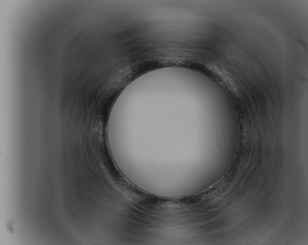 X0000093470498200710121014