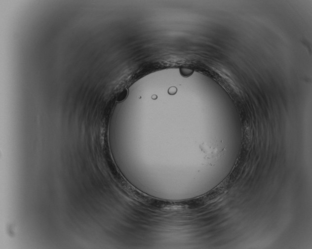 X0000093470499200710121014