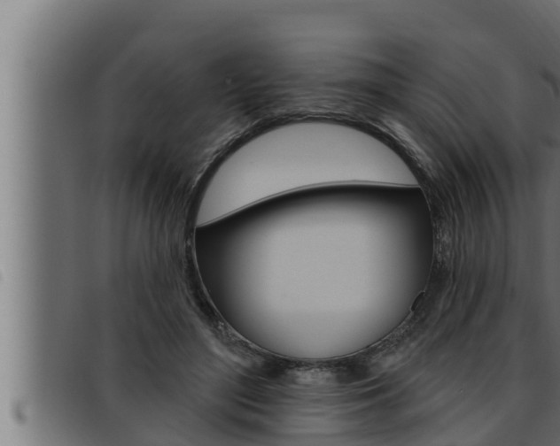 X0000093470500200710121014