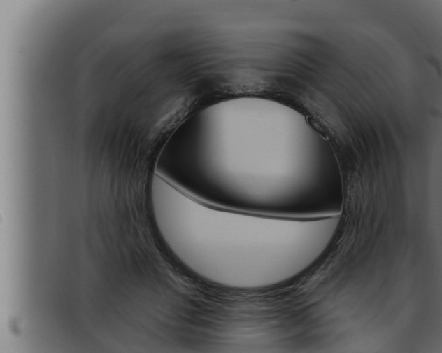 X0000093470501200710121014