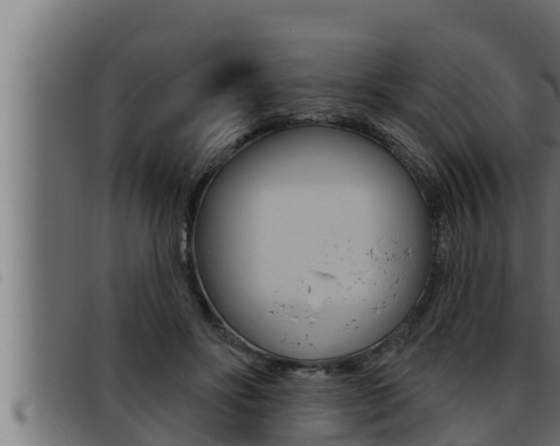 X0000093470502200710121014